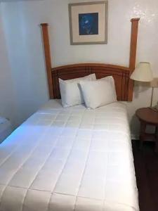 Extended Stay Studios - 14