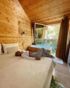 Guesthouse Marashi - 38