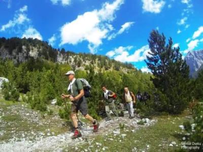 Guesthouse Marashi - 3