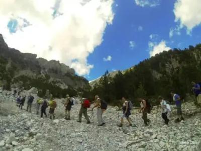 Guesthouse Marashi - 5