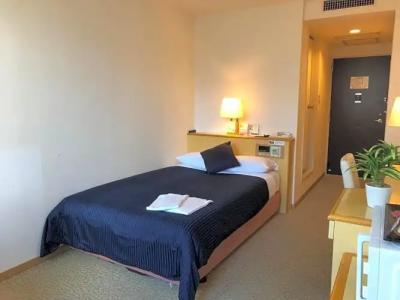 LiVEMAX Sapporo Ekimae - 30