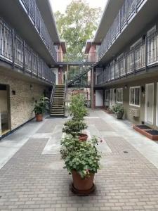 Convention Center Inn and Suites - 23