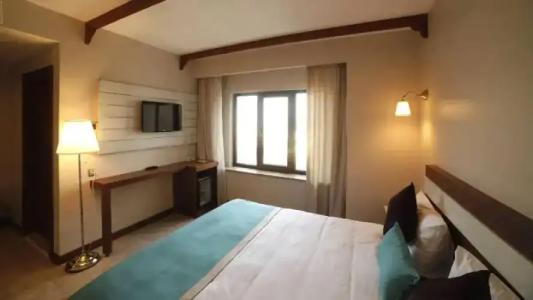 Mılestone 1915 - 21