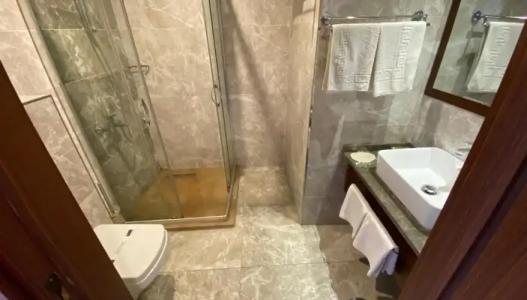 Mılestone 1915 - 28