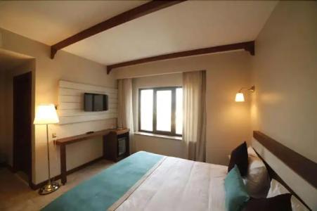 Mılestone 1915 - 51