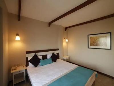 Mılestone 1915 - 10