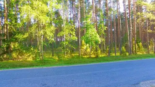 Katariina Guest House - 13