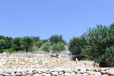 Amoru Bed & Breakfast - 11