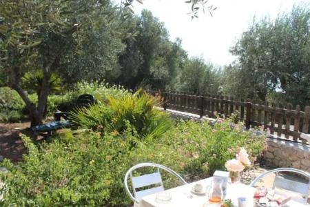 Amoru Bed & Breakfast - 49