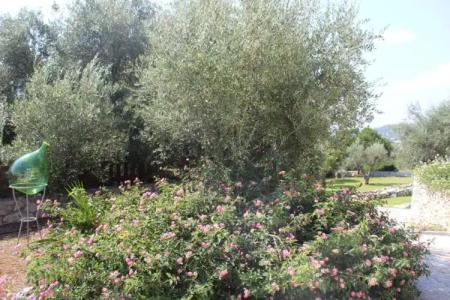 Amoru Bed & Breakfast - 4