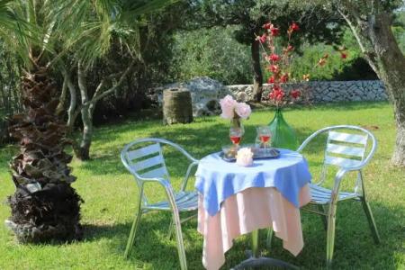 Amoru Bed & Breakfast - 3