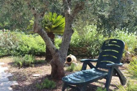 Amoru Bed & Breakfast - 52