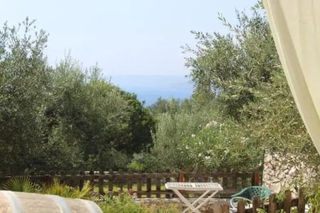 Amoru Bed & Breakfast - 43