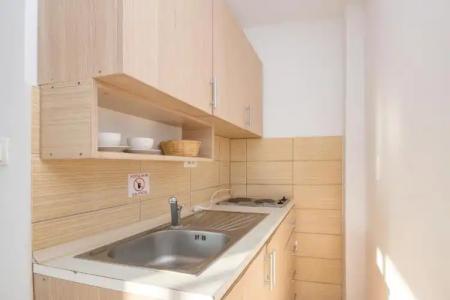Studio Apartments Aleksandra - 70