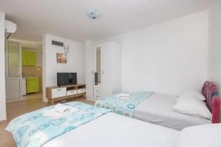 Studio Apartments Aleksandra - 195