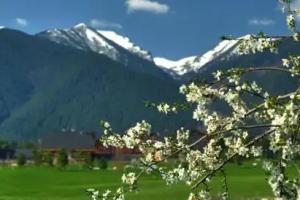 Guest House «Le Chalet»