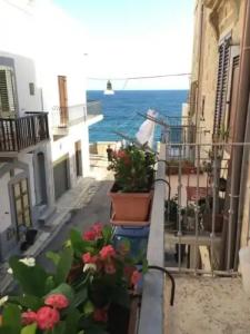 La Casetta di Babbo - 0