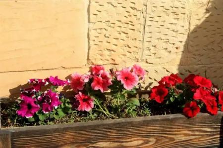 Il-Wileġ Bed & Breakfast - 16