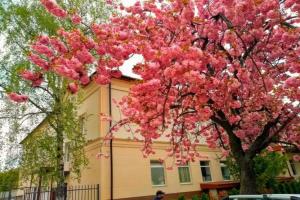 Mini-hotel Na Pidgradskiy, Uzhgorod