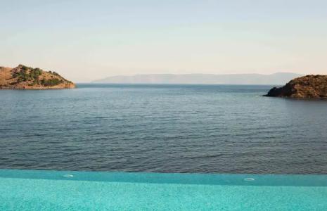 Little Bird Lesvos - 7