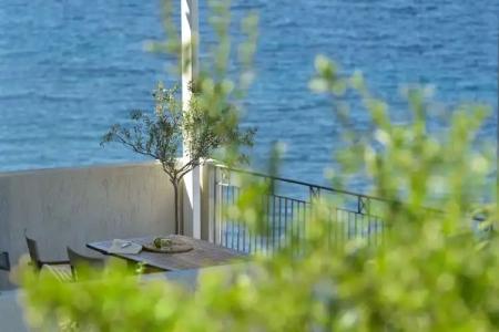 Little Bird Lesvos - 36