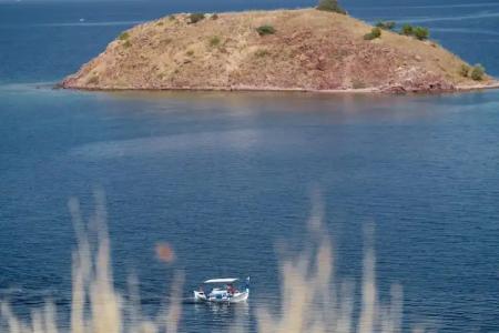 Little Bird Lesvos - 22