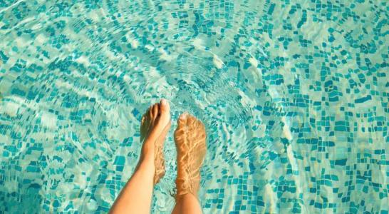 Little Bird Lesvos - 11