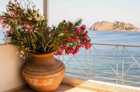 Little Bird Lesvos - 25