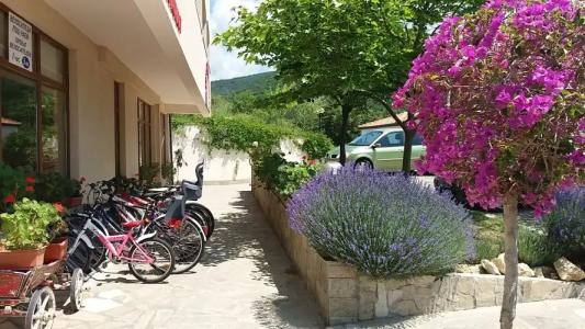 Южни нощи семеен хотел Свети Влас - 41