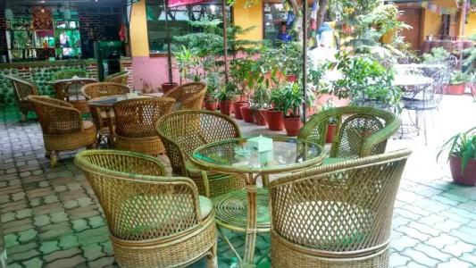 The Buddha Garden - 20