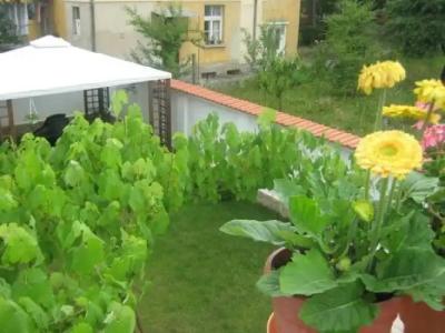 Velingrad La Casa - 15