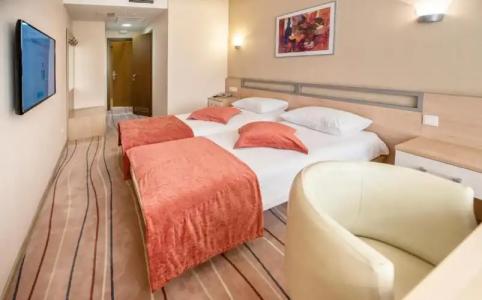 Палладиум - 42