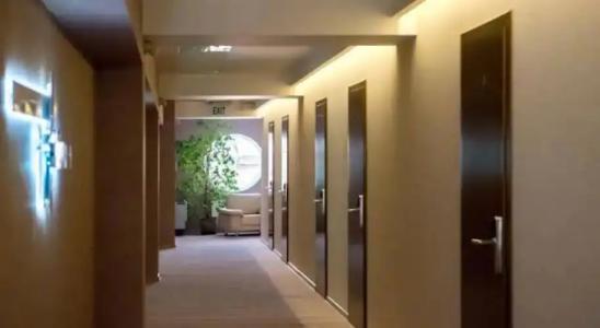 Палладиум - 40