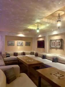 Палладиум - 17