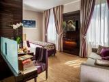 Viola Executive High Floor Double room