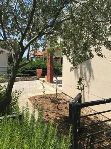 Bungalows Village Stara Gavza - 39
