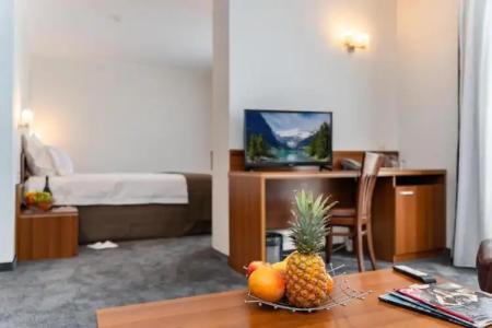 Panorama - Free EV Charging Station - 241