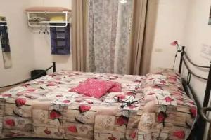 La Perla B & B, Ciampino