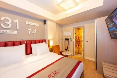 Ramada by Wyndham Istanbul Pera - 200