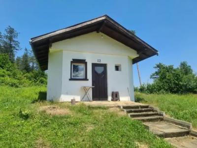 Complex Brashlyan - 31