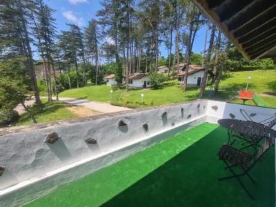 Complex Brashlyan - 24