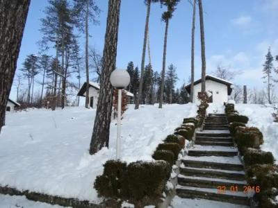 Complex Brashlyan - 28