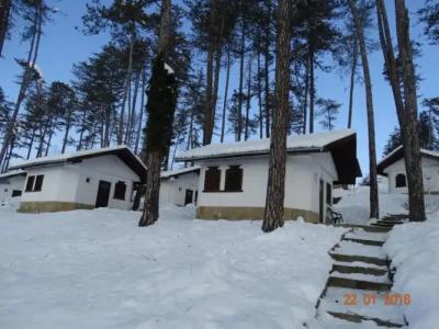 Complex Brashlyan - 29