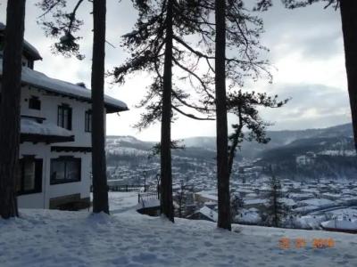 Complex Brashlyan - 27