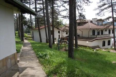 Complex Brashlyan - 12