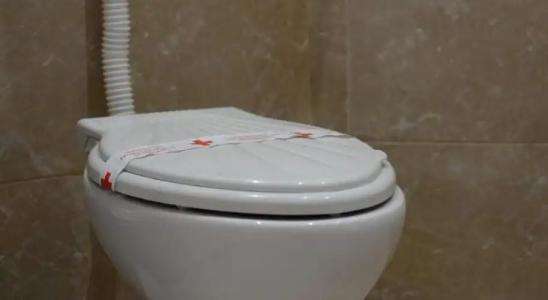 Complex Brashlyan - 6