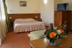 Troyan Plaza, Troyan