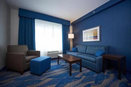 Holiday Inn Express & Suites St. John's Airport, an IHG - 40
