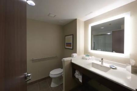 Holiday Inn Express & Suites St. John's Airport, an IHG - 7