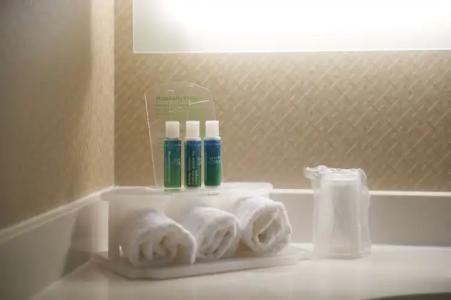 Holiday Inn Express & Suites St. John's Airport, an IHG - 31